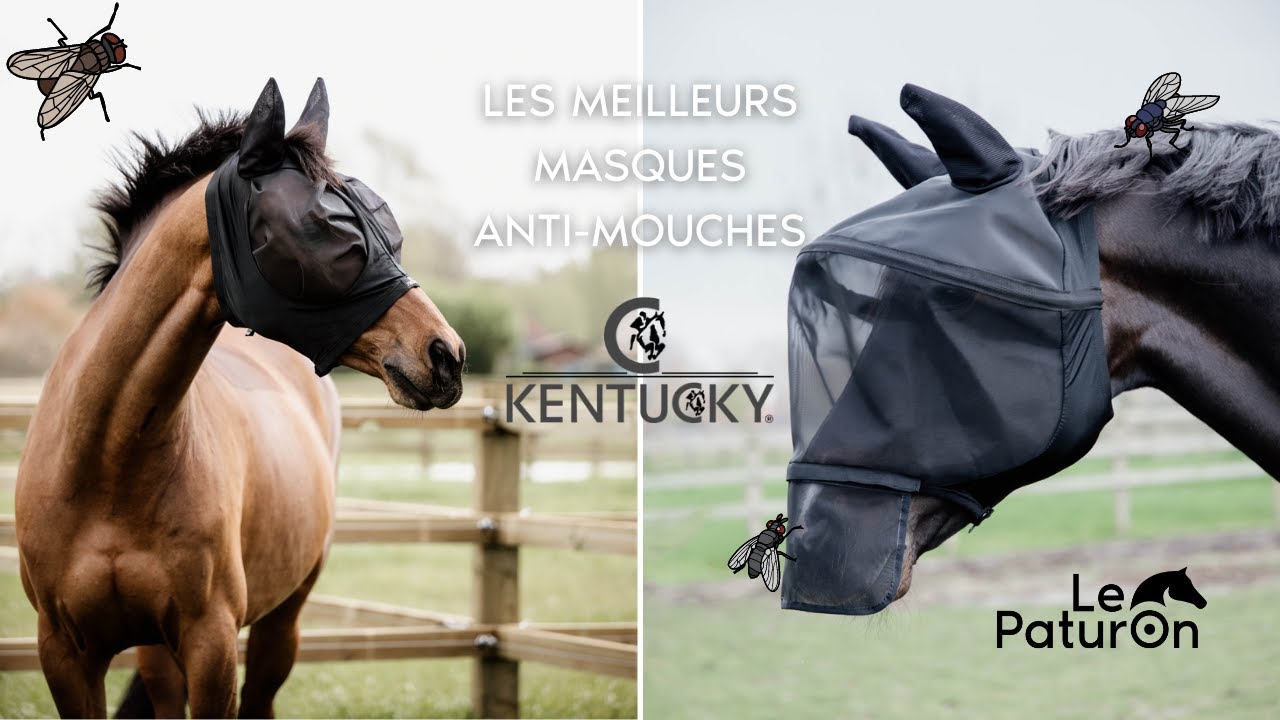 Les meilleurs masques anti-mouche cheval - Kentucky x Le Paturon🪰 - YouTube