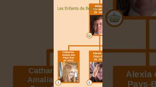 LES ENFANTS DE BEATRIX DES PAYS-BAS  #usefulcharts #histoire #genealogy #monarchie  #history