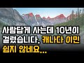 흙수저는 이렇게 버텼습니다. 캐나다 이민 성공 확률을 높이는 세가지 방법.