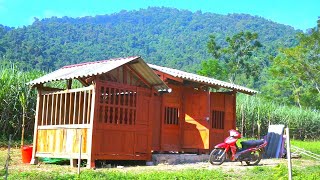 700 Days Rebuild Cabin Log - Firewood Storage, Water Supply And Clean Water Storage