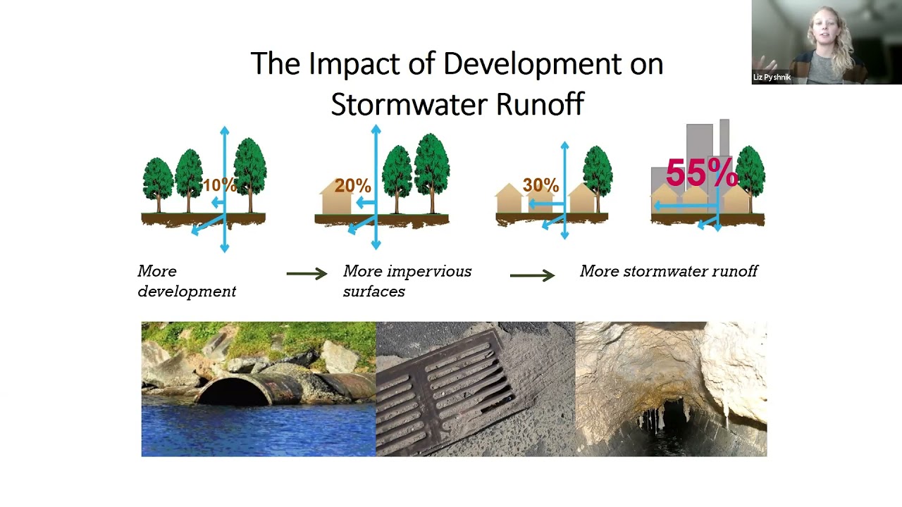 Combined Sewers and Their Impact on Water Quality