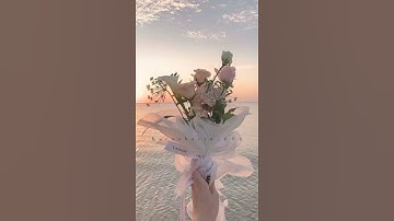 جمعة مباركة.....♡ سورة الكهف بصوت إسلام صبحي....حالات واتساب .....تلاوة هادئة