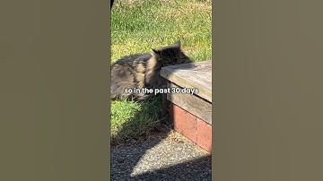 Day 47 of scaling my tutoring business: Instagram Update #tutor #business #entrepreneur