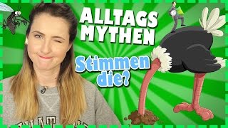 5 ALLTAGSMYTHEN - Teste dich selbst! | Stimmt's | Pimp my mind screenshot 5