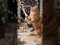 Happy New Year #ai #aiart #cat #shorts #cute #kawaii #anime #cats #funny #baby #fun #cartoon #art