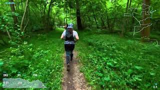 City-Trail 2026 1 Romashkovo