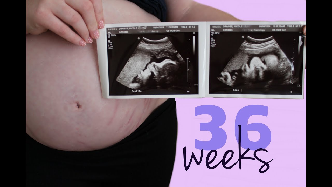 36 weeks pregnant baby 2 { 9 months pregnant! } YouTube