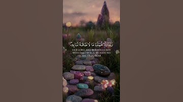 خواتيم سورة البقرة | تلاوة خاشعة