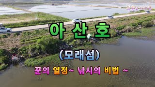 아산호 모래섬 포인트~ 열정의 낚시꾼~  낚시의 비법은 ? #fishing #낚시 #붕어낚시