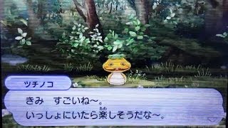 ツチノコ(購入時自己紹介必読願います) mqdefault.jpg