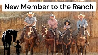 The Bundy Ranch Got A New Member !!