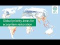 Global priority areas for ecosystem restoration