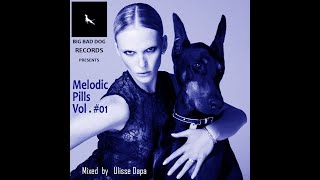 Dj Ulisse Dapa - Melodic Pills Vol 1 - Big Bad Dog Records