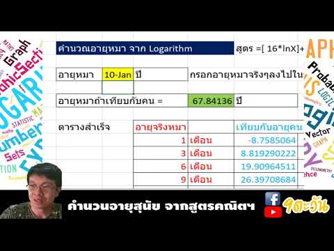คำนวนอายุสุนัข จากสูตรคณิตศาสตร์