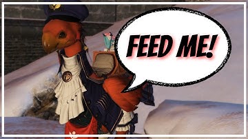 How to DYE your own CHOCOBO: quick & easy guide!