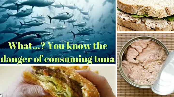 There's only one reason to avoid canned tuna, and it's not   mercury or the environment