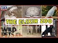 The Elixir Private Zoo with 1000+ Animals | Wild Pets with Aun 15th September 2019