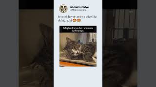 Sevmek Hayat Verir Şu Güzelliğe Olduğu Gibi 😍😍