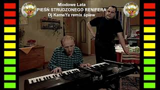 Miodowe Lata - Pieśń Strudzonego Renifera Dj Kameya Remix Śpiew 2022