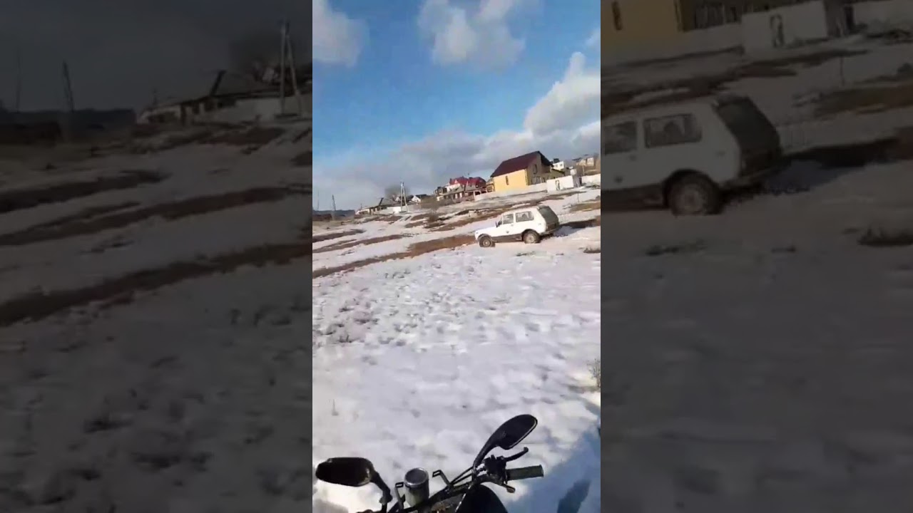Виста 91 год