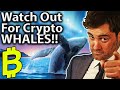 Watch The WHALES!! 101 Guide To Wallet Tracking!! 🐋