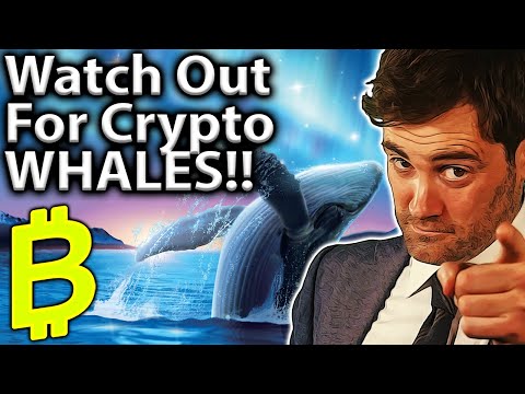 Watch The WHALES!! 101 Guide To Wallet Tracking!! 🐋