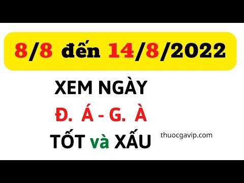 Xem Màu Mạng Gà - Xem Ngày DA Gà 8/8/2022 đến 14/8/2022 (Màu Mệnh VLOG)