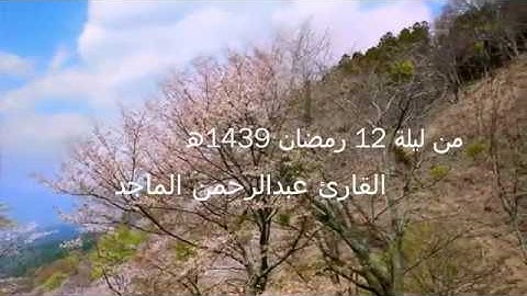 تلاوة خاشعة من سورة الأنفال القارئ عبدالرحمن الماجد