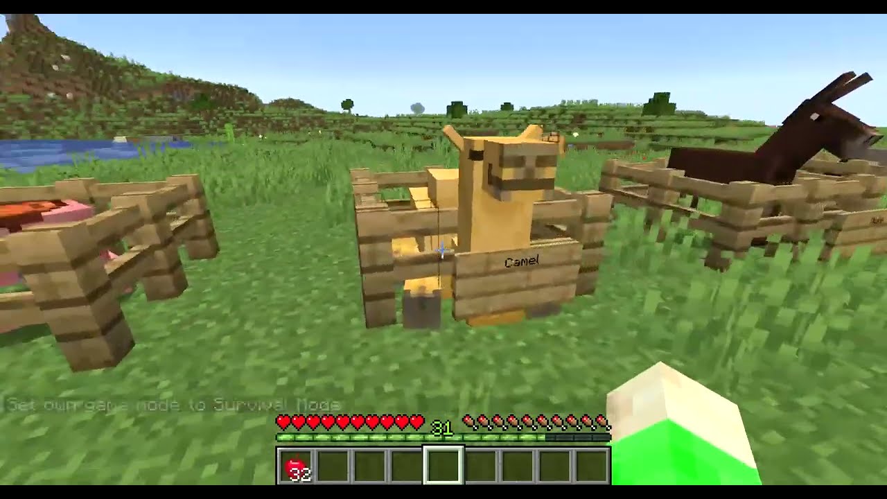 All Rideable Mobs in Minecraft Survival 1.20