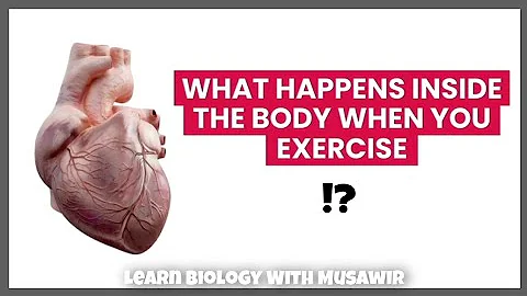 What happens inside the body when you exercise ? |Musawir|