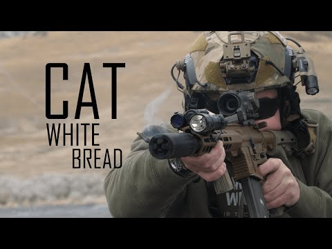 4000 Rounds Later: CAT WB