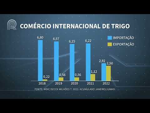 Em pouco menos de 6 meses, Brasil exportou mais que o dobro de trigo em relação a 2021 - 21/06/22