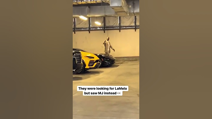 They were looking for LaMelo but weren't expecting to see MJ 😳