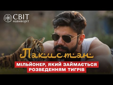 Видео: Миллионер, который занимается разведением тигров