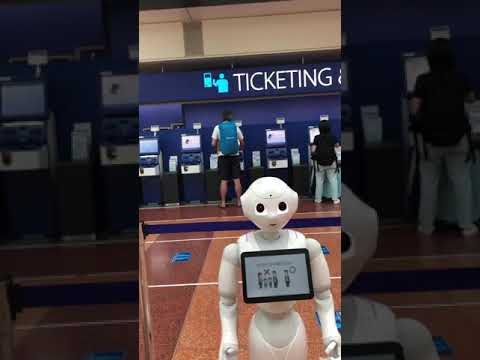 羽田空港から搭乗 沖縄旅行2021年夏 #チャーリー多幸寿本店 #沖縄旅行2021年夏 #梅雨明け #蝉の声 #ハイビスカス #ANA #青い空