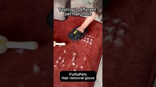 Testing 3 different pet hair tools #shorts