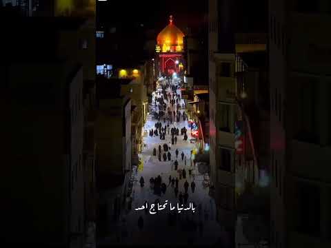 زاير علي حيدر البياتي