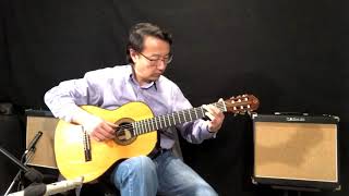 Video thumbnail of "Can You Feel The Love Tonight - Finger Style Guitar Covered by Peng Chen"