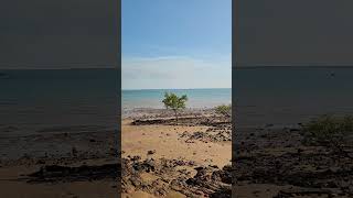 LAMEROO BEACH, Darwin AUSTRALIA  2025 #australia #Darwin #Lameroobeach #NorthernTerritory
