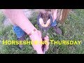 Horseshoeing Thursday