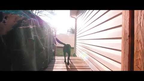 Cinematic LUMIX GH5 Slo Motion Test- 180FPS & 120 FPS