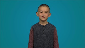 Pedestrians and Cyclists Navigating a Roundabout