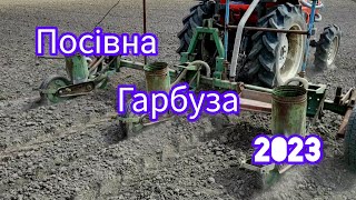:  Ѳ  Ѳ, Ѳ 2023 . 17   