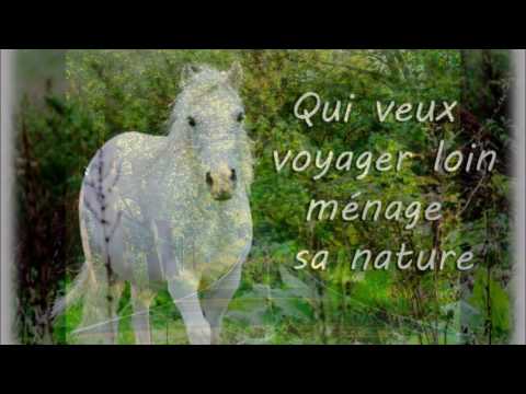 Eleni - Anna