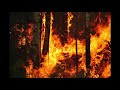 Saint Mesa - Fire (slowed + reverb)