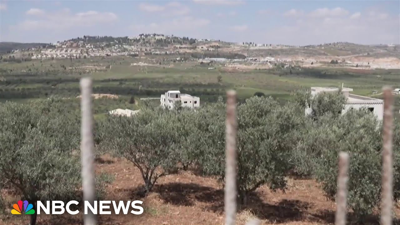 Violence by Israeli settlers surges with Iran War, human rights groups say