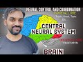 Neural Control & Coordination in the Brain 🧠