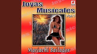 Video thumbnail of "Mariachi Bailador - Secreto De Amor"