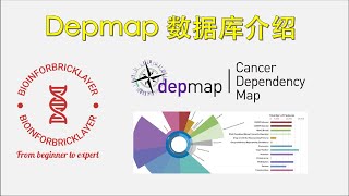 【生信进阶之路｜资源篇01】Depmap数据库入门介绍