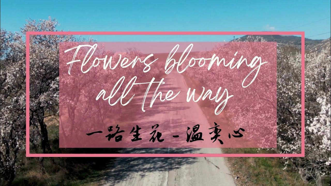 一路生花 - 温奕心 | Flowers blooming all the way - Wen Yixin | Lyrics, Pinyin and Engsub 一路生花 - 温奕心 | Flowers blooming all the way - Wen Yixin | Lyrics, Pinyin and Engsub